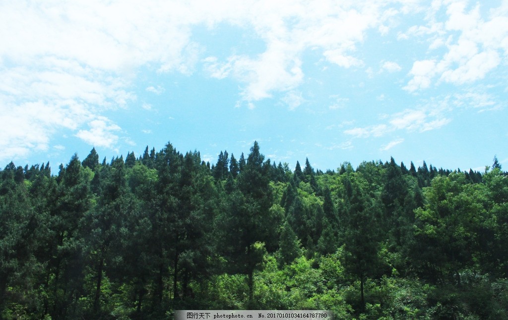 远山 自然美景 森林城市 绿色 远景 风景 郊外 蓝天白云 草地