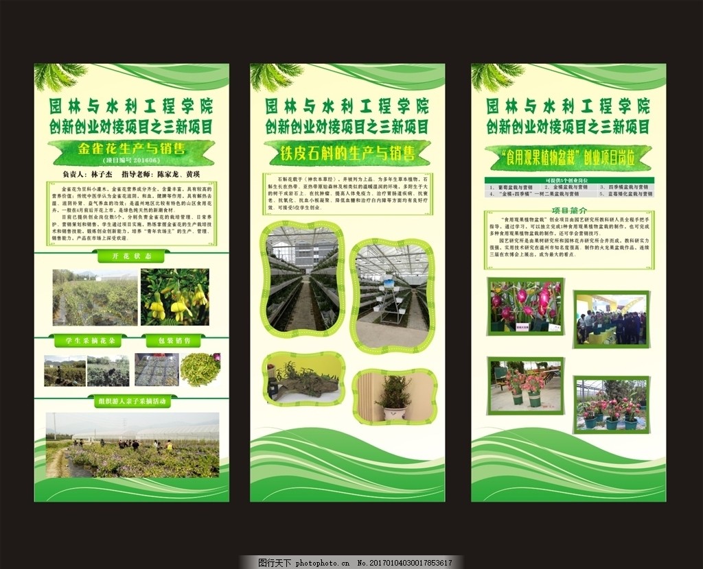 林业科技论文的格式要求种植油茶怎么写申请油茶苗