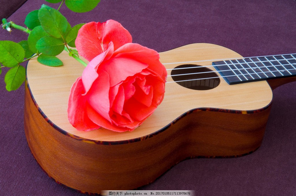 红色玫瑰花和吉他图片