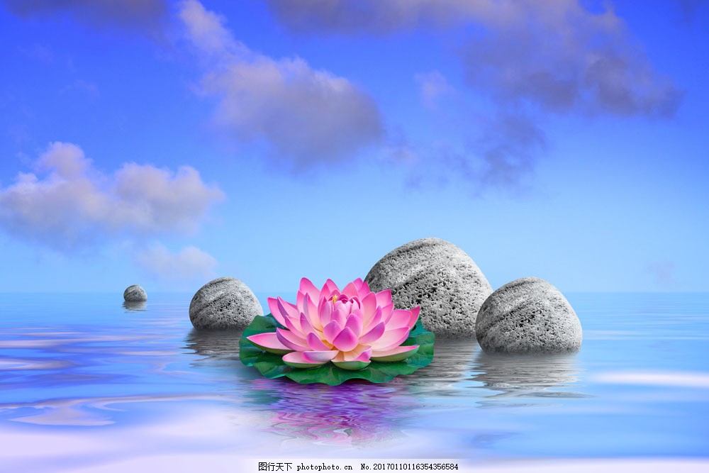 美丽鲜花 花朵 水面倒影 水纹 波纹 水波 山水风景 风景图片 图片素材