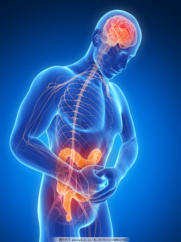 男性腹痛大肠结构图片