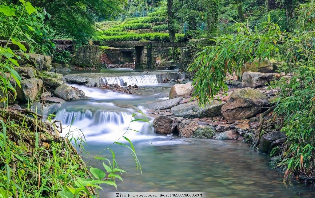 唯美 风景 风光 旅行 自然 杭州 九溪 九溪湿地 湿地 湿地公园 摄影