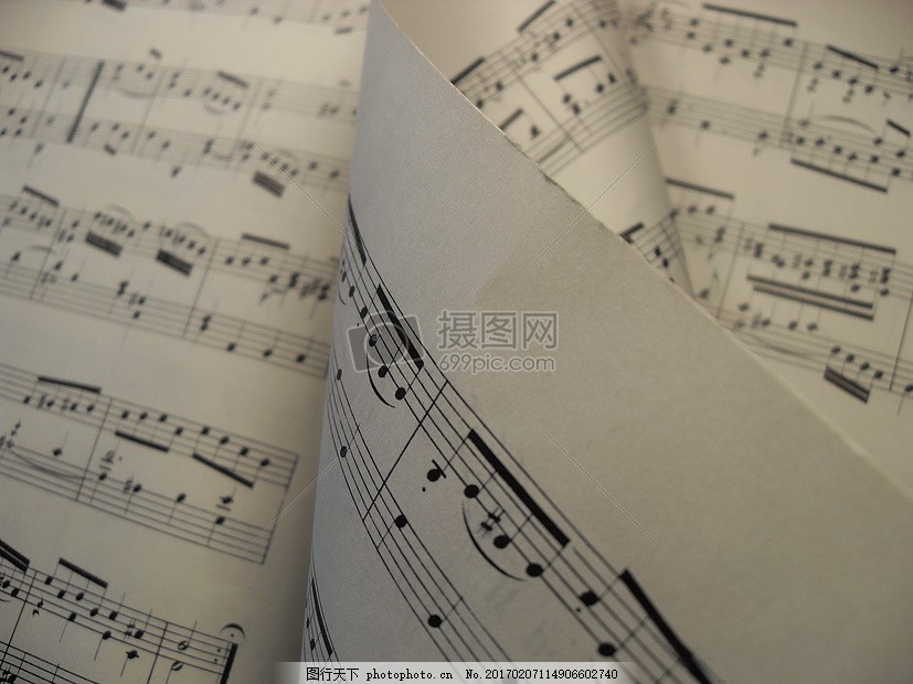 音乐 旋律 工作表 分数 钢琴 高音 五线谱 仪器 歌编曲 作曲 乐理