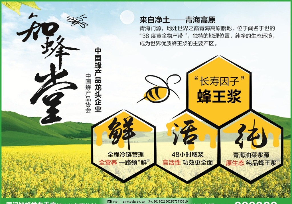 蜂产品C,知蜂堂 蜂胶 蜜蜂 蜂王浆 金奖 六边形