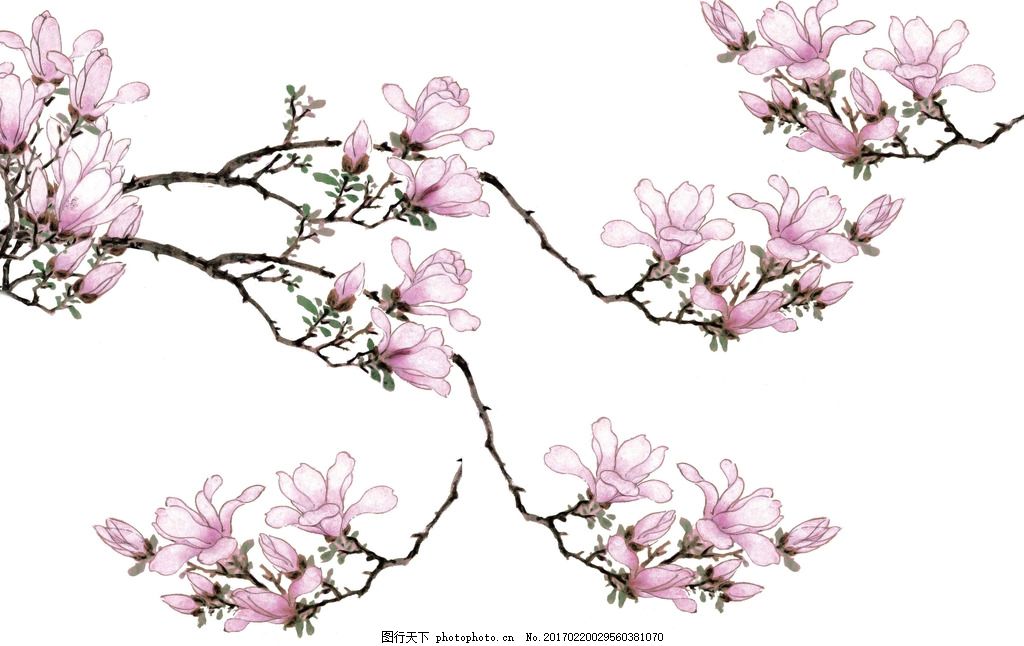 唯美花朵背景 窗帘 移门 手绘 现代背景墙 立体花朵 浮雕花朵 会客厅 3D背景墙 3D花朵背景墙 鲜花 花朵 现代 简约 浪漫 背景墙 壁纸 壁画 墙纸 电视墙 电视背景墙 客厅 大厅 酒店 酒吧 装饰画 影视背景墙 沙发 梦幻花朵欧式 玉兰花开 玉兰花 玉兰 花无框画 粉紫色 木兰 花卉 春天 设计 广告设计 广告设计 300DPI PSD
