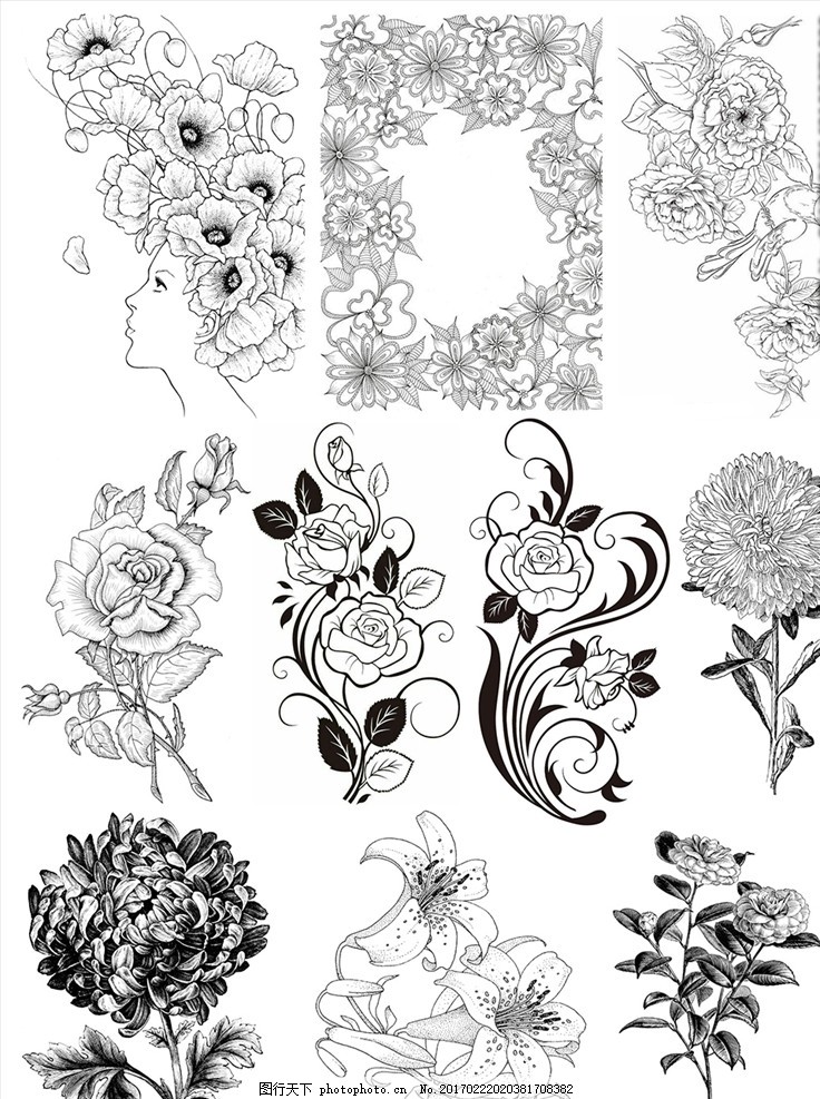 花纹 底纹 图案 欧式 设计 边框 圆 花边 边角 菊花 玫瑰 月季 百合