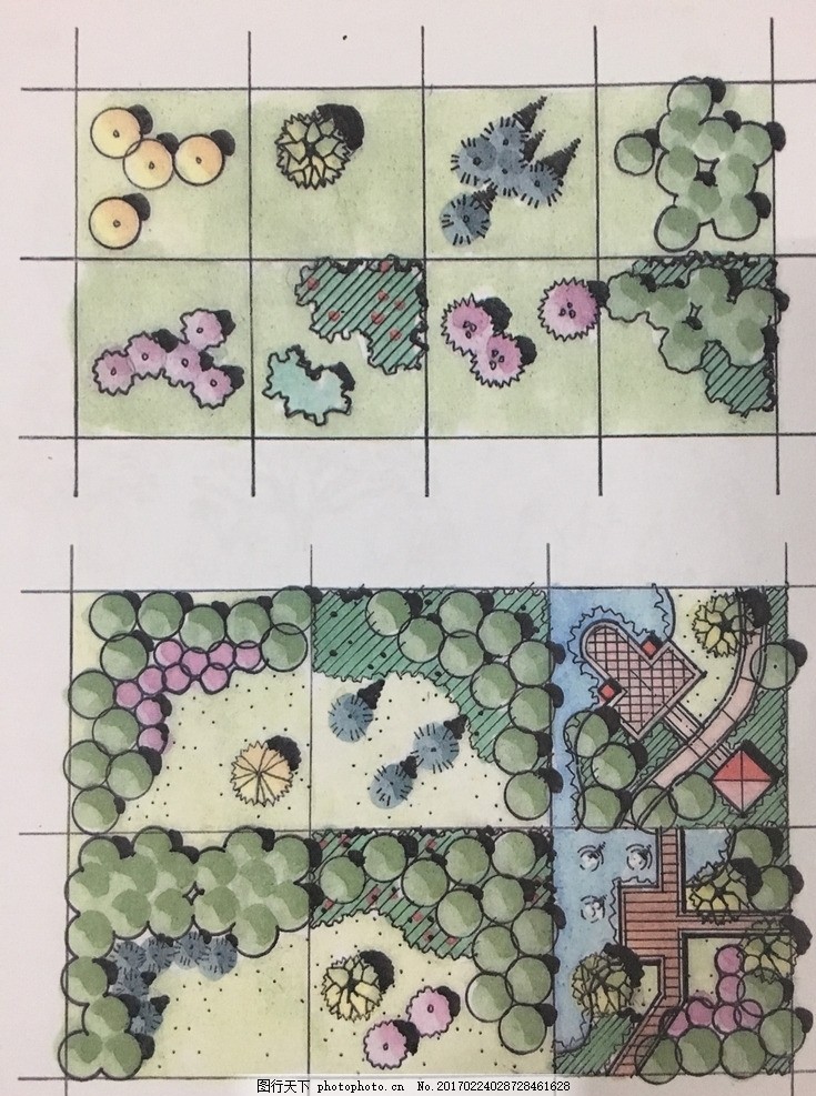 手绘 景观 平面图 植物配置 彩平 素材 设计 环境设计 园林设计 72dpi