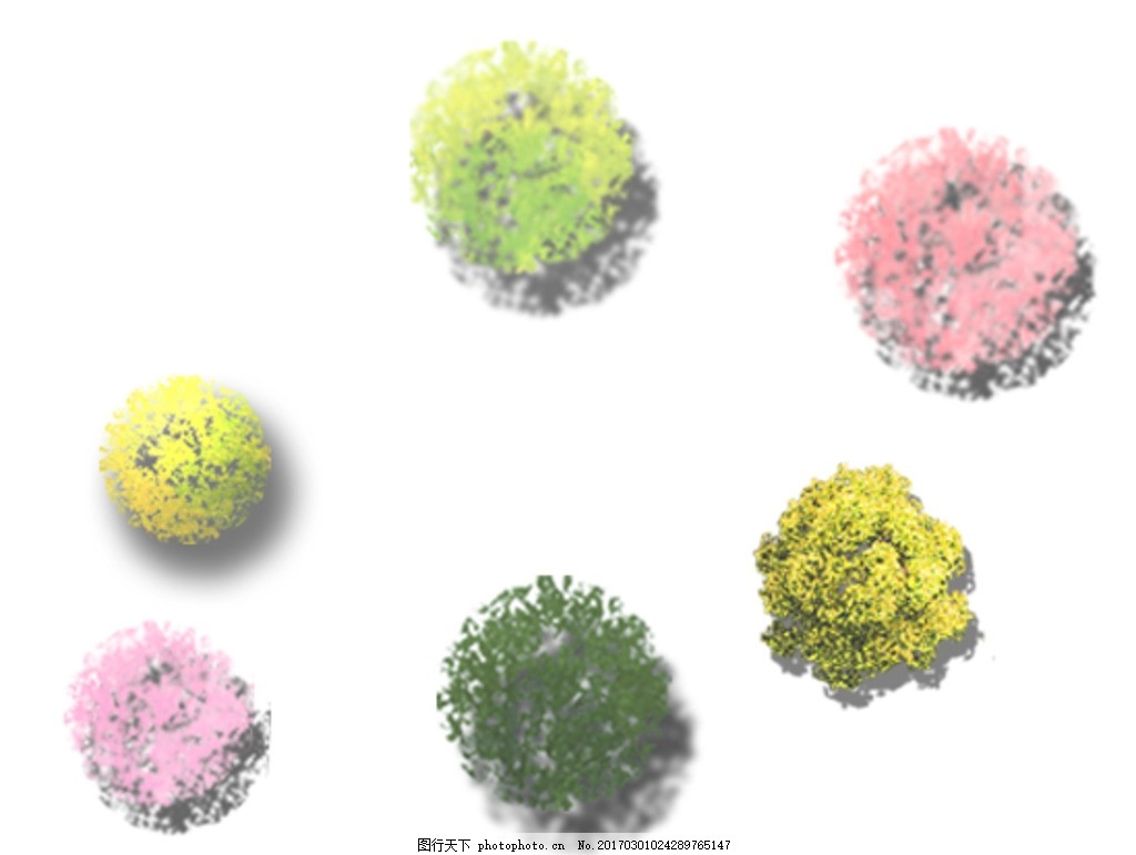 植物平面素材图片
