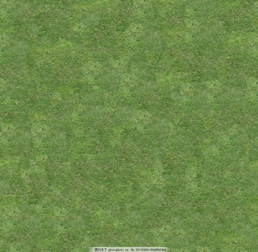 CG级草地贴图图片