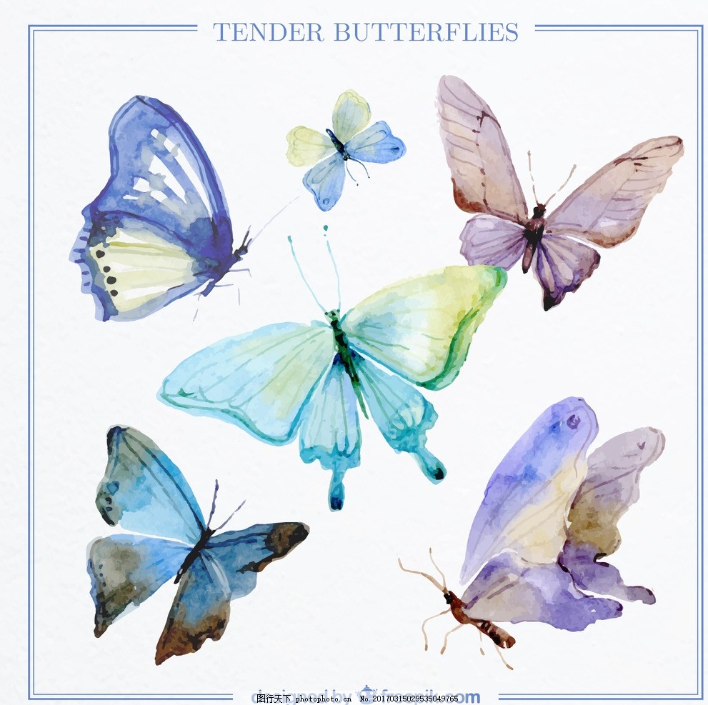 卡通手绘蝴蝶矢量图片