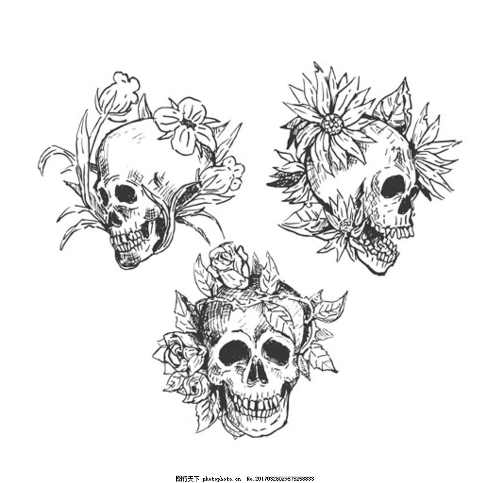 手绘黑白骷髅与鲜花,骷髅头 头骨 尸骨 骷髅骨头