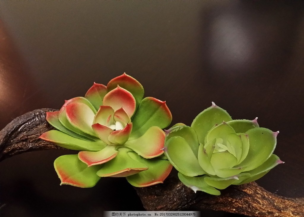 好牌子种类推荐……