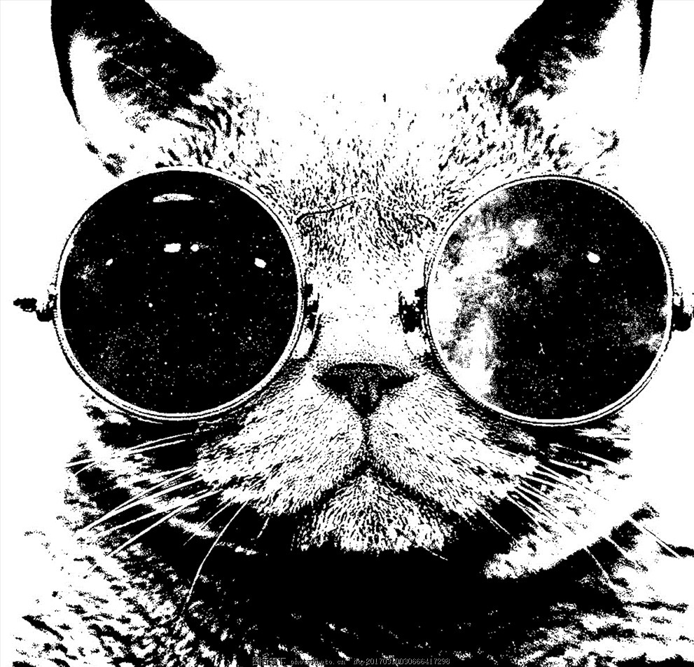 墨镜猫图片 服装设计 广告设计 图行天下素材网